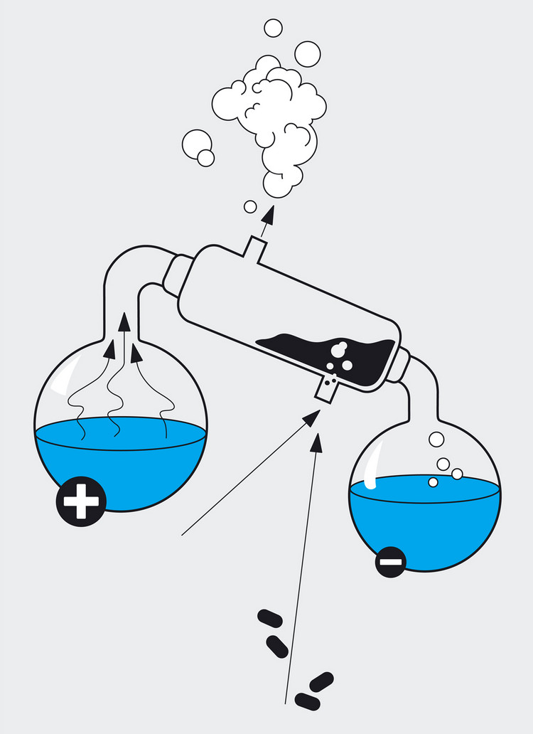 figure 3b - Paul Kirps